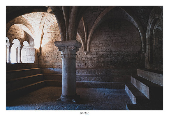 L'abbaye du Thoronet