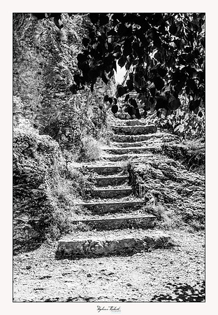 Moustiers-Sainte-Marie