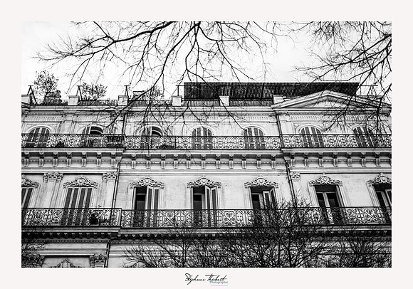 Tout Marseille