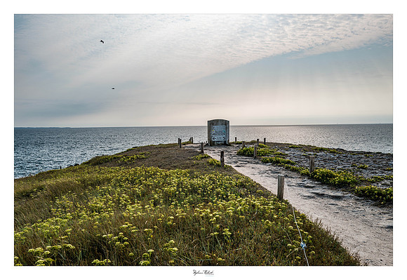 Presqu'île de Quiberon