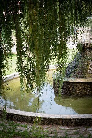 Une fontaine de Carcès
