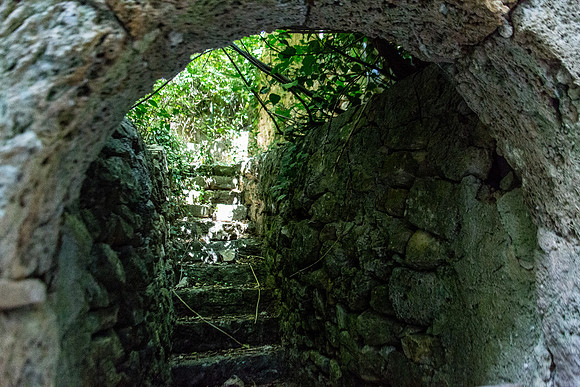 Rives de l'Argens à Correns