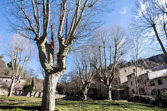 Place principale de Mazaugues