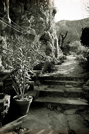 Un vieux chemin de Mazaugues