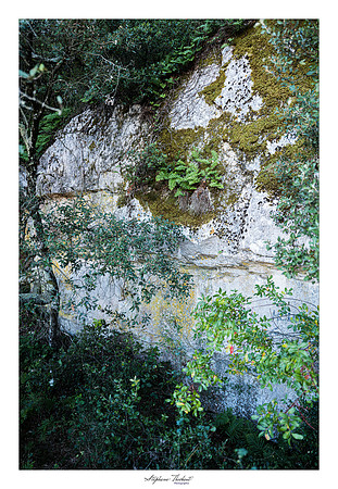 Saint-julien le Montagnier