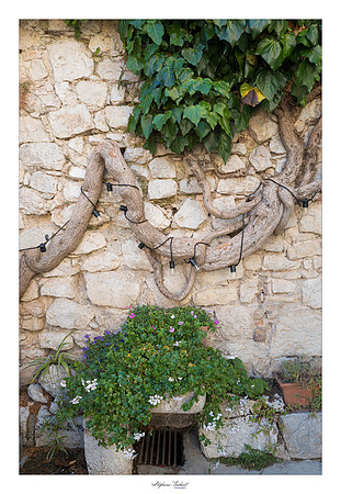 Visite de Gourdon (06)