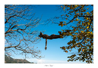 Visite de Gourdon (06)
