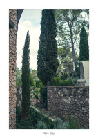 La fondation Maeght