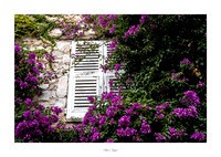 Autour de Saint-Paul de Vence
