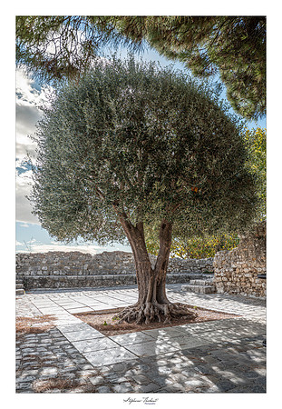 Saint-Paul de Vence
