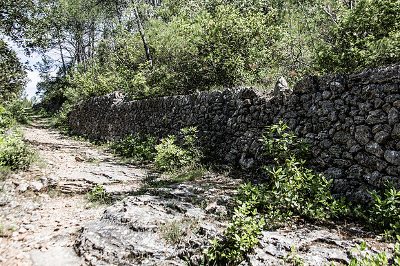 Montfort-sur-Argens