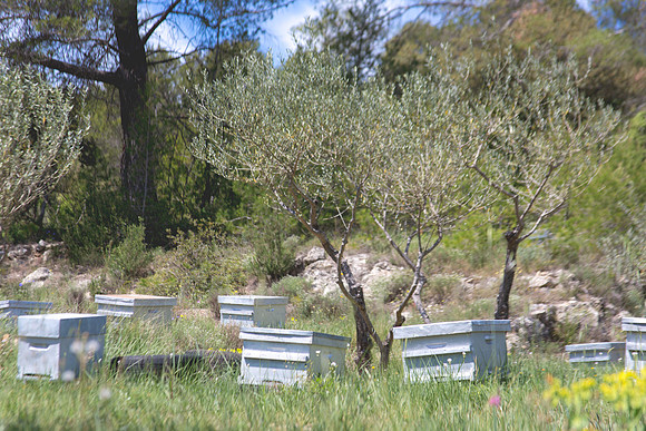 Montfort-sur-Argens