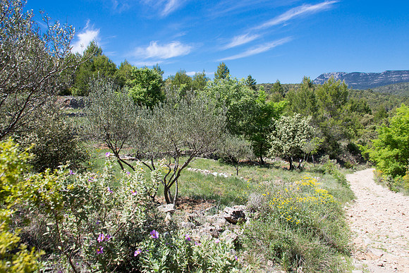 Montfort-sur-Argens