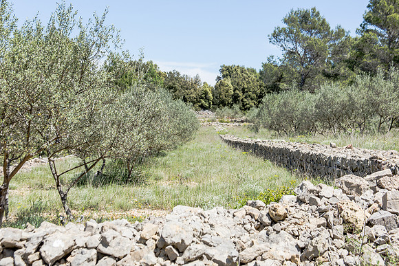 Montfort-sur-Argens