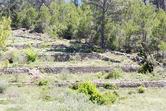 Montfort-sur-Argens