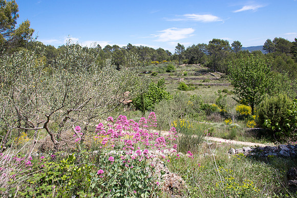 Montfort-sur-Argens