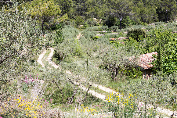 Montfort-sur-Argens