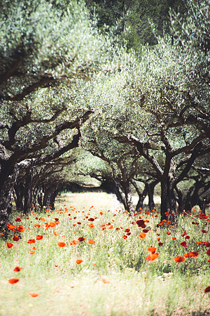 Montfort-sur-Argens