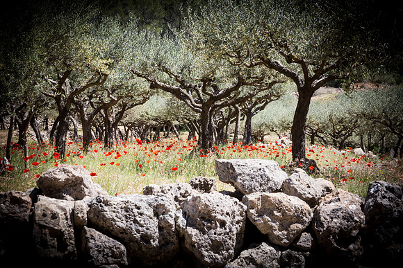 Montfort-sur-Argens