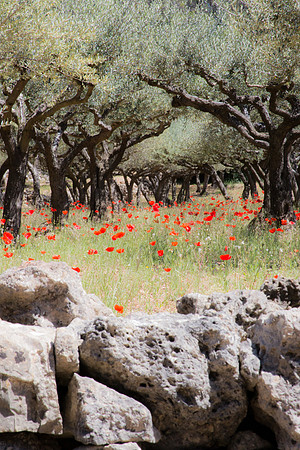 Montfort-sur-Argens