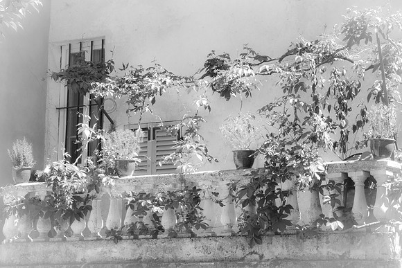 Montfort-sur-Argens