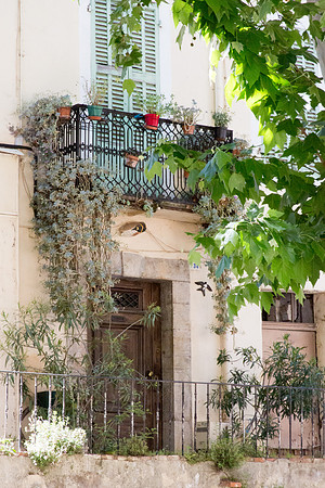 Montfort-sur-Argens