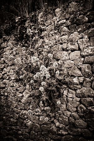 Montfort-sur-Argens