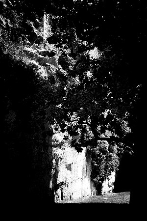 Entrecasteaux