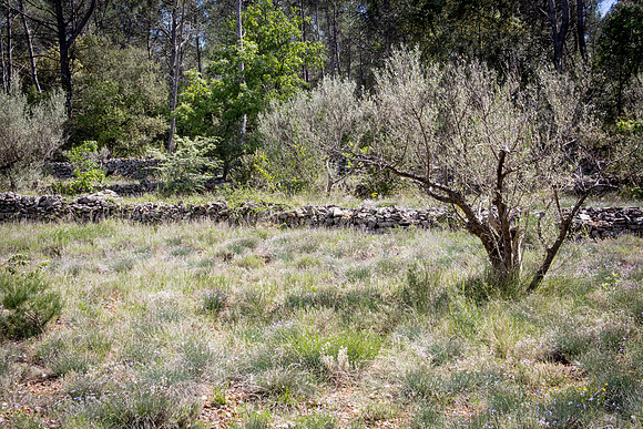 Entrecasteaux