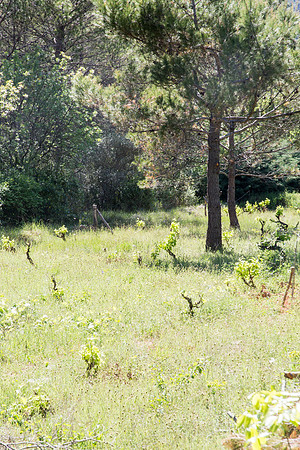 Entrecasteaux