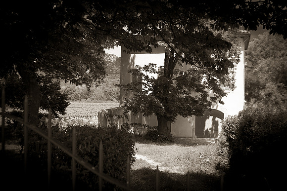 Correns