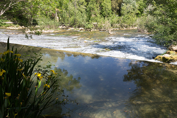 Correns