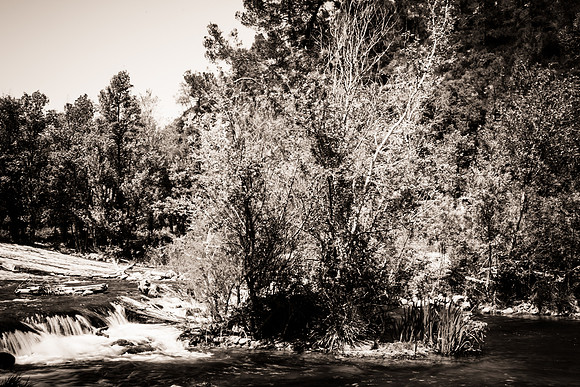 Correns