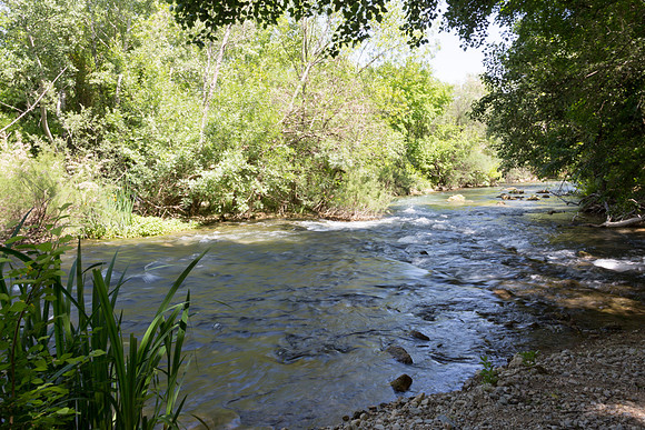 Correns