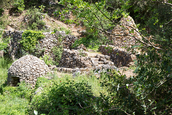 Correns