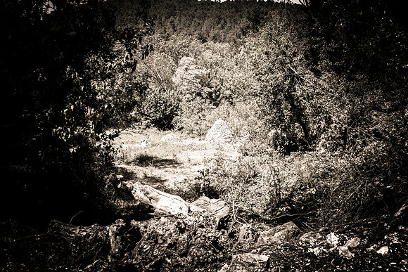 Correns