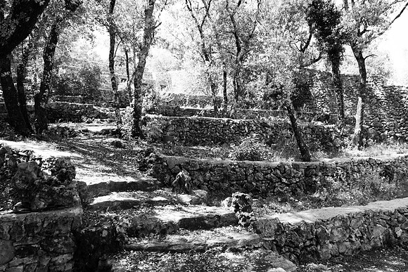 Correns