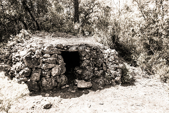 Correns