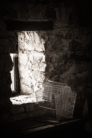 Correns