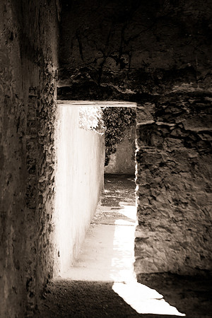 Correns