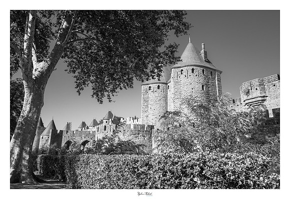 Carcassonne