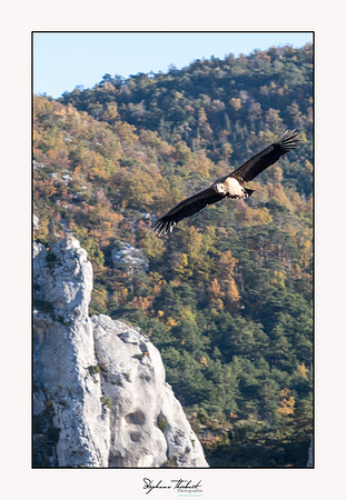 Les Gorges du Verdon