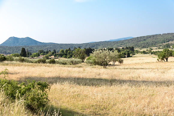 Tavernes