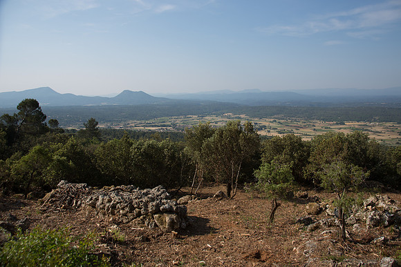 Tavernes