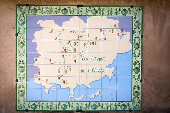 Carte de l'olivier