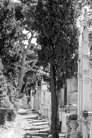 Une belle allée boisée au cimetière Saint-Pierre