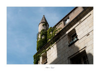 Un tour à Tours (37)