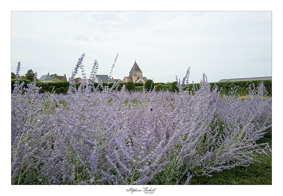 Château et jardins de Villandry