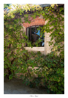 Domaine de Chaumont