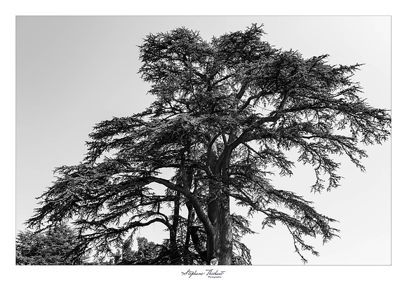 Domaine de Chaumont